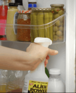 Alien Power Stain Remover customer